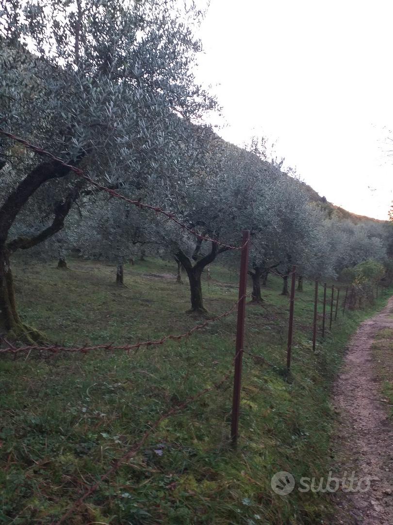 Terrain, 2112 m²