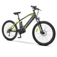 E-bike argento perfomance pro solo 40 km percorsi