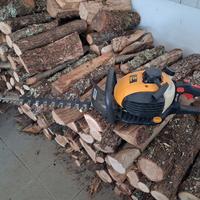 TAGLIASIEPE ALPINA a scoppio