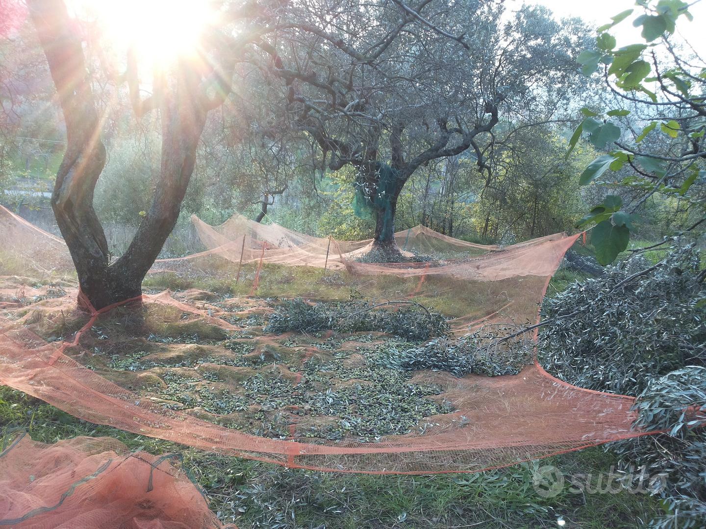 Terreno con rustico - Vista 3