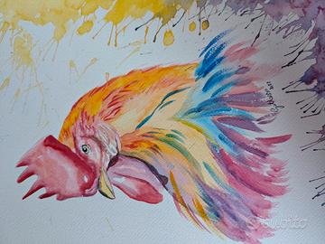 acquarello 🐓 gallo