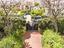 Immagine 26
