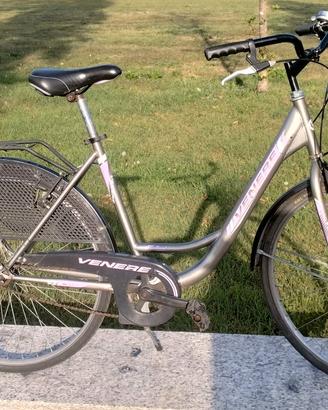 Venere Holland 26" Donna 