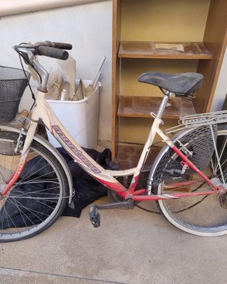 Bici donna