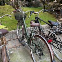 Bicicletta Alpina stile Vintage Donna