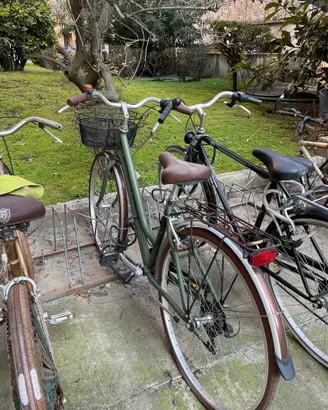 Bicicletta Alpina stile Vintage Donna
