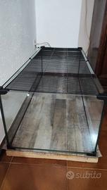 acquario per tartarughe 