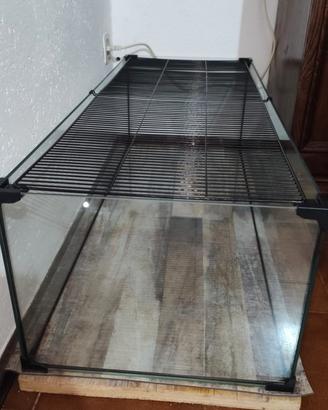 acquario per tartarughe 