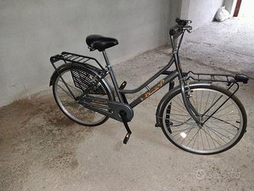 Bici olanda 24