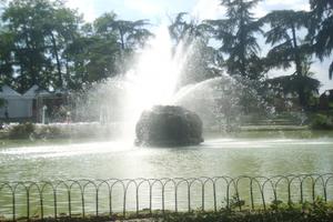 FIRENZE PRESSI LIBERTA' Attività con mura