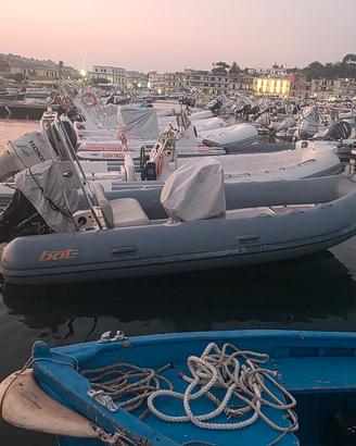 BAT Grifo 6 - 460