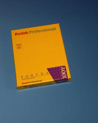 Kodak Portra 100T