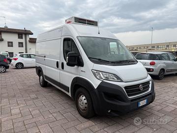 Fiat ducato frigo