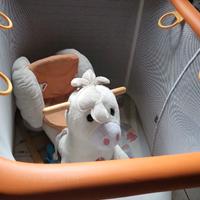 Box più cavallino trudy