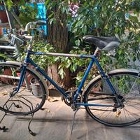 bicicletta da uomo carmeglio