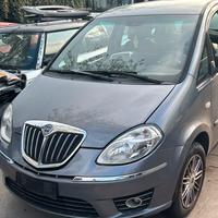 Lancia musa per ricambi