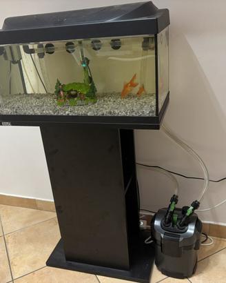 Acquario completo 60 litri