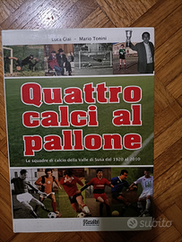 Calcio Valsusa