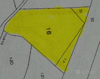 Terreno agricolo