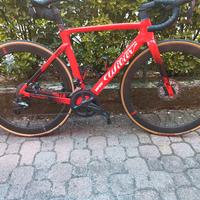 corsa wilier triestina