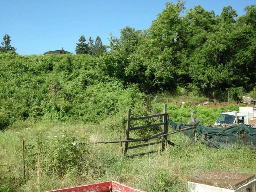 Immobile in asta di 4313 m² a Segni - Vista 3