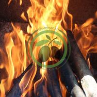 Legna da ardere di ulivo bio per barbeque e stufe 