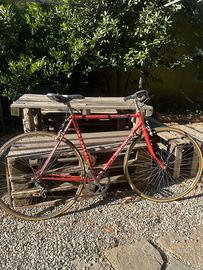 Bici da uomo Gimondi da citta 28