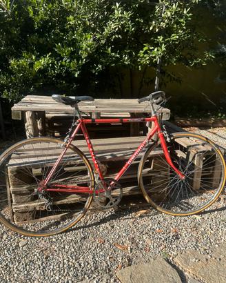Bici da uomo Gimondi da citta 28