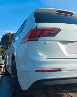 Volkswagen tiguan 2017 portiera