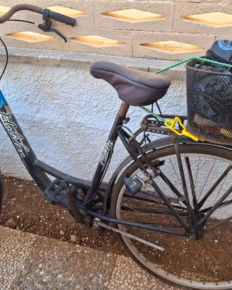 bici uomo e donna 