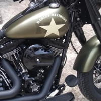 Filtro aria Harley Davidson