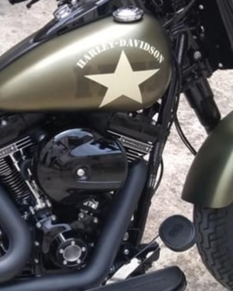 Filtro aria Harley Davidson