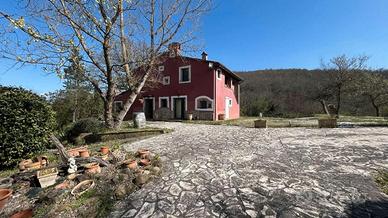 Casale libero e abitabile immerso nel verde