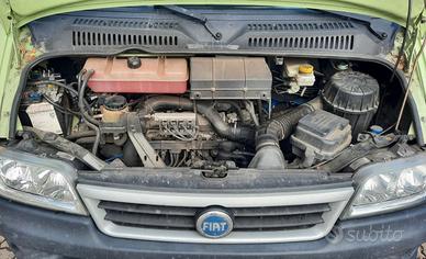 Autocarro FIAT DUCATO 244 (seconda serie)