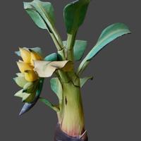 PIANTA di Banano in miniatura in legno dipinto.