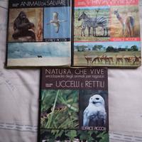 Enciclopedia ragazzi Natura che Vive, anni 60/70