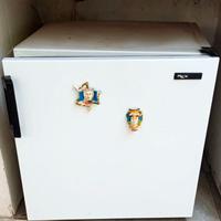 Mini frigo