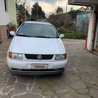 Polo Volkswagen