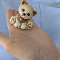 Gattino Thun con nome Alessandro 