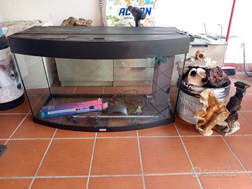 Acquario 140lt curvo Jewel Completo 