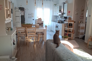 Appartamento in palazzina