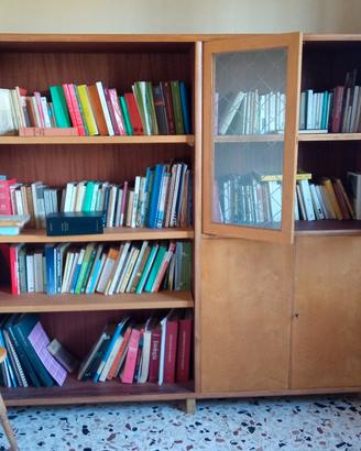 mobile libreria