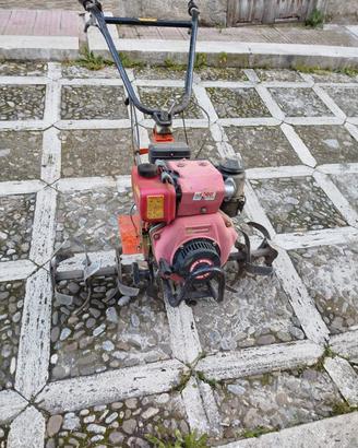 Motozappa pasbo motore diesel