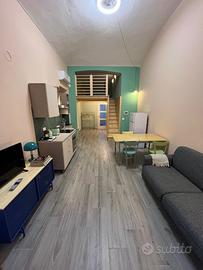 Monolocale vicino porta susa