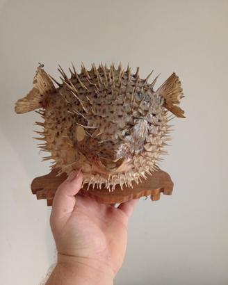 lampada pesce palla 