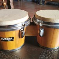 bongos Maxtone 