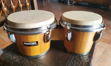 bongos Maxtone 