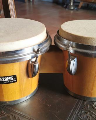 bongos Maxtone 