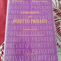 Lineamenti Di Diritto Privato 