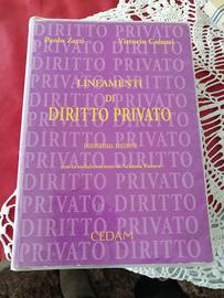 Lineamenti Di Diritto Privato 